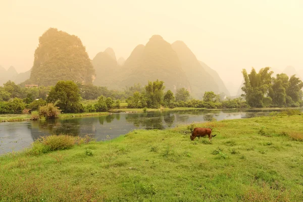 Пейзаж в Яншо Гуйлинь, Китай — стоковое фото