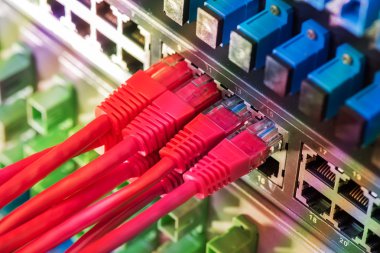 Ağ kabloları ve hub closeup fiber optik arka plan