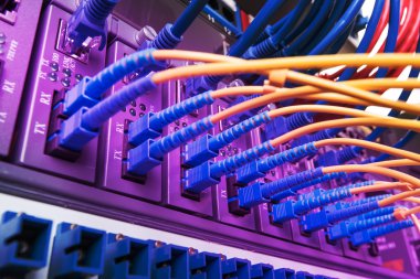 Fiber optik kabloların bağlı bir optik bağlantı noktaları ve ağ kablosu