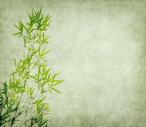 Bamboo Old Grunge Paper Texture Background — Stock Photo, Image
