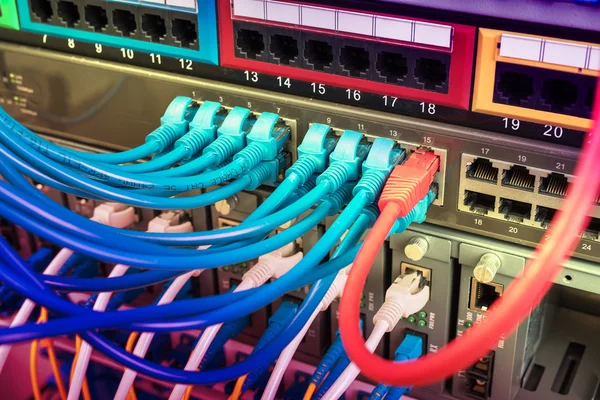 Interruptor Rede Cabos Ethernet Conceito Data Center — Fotografia de Stock