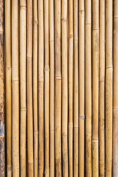Bambu Çit Çekim — Stok fotoğraf