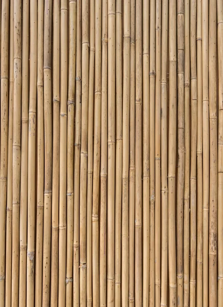 Cerca Hecha Palos Bambú — Foto de Stock