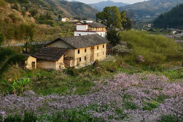 Paisagem Rural Flor Pêssego Área Moutainous Distrito Shaoguan Província Guangdong — Fotografia de Stock