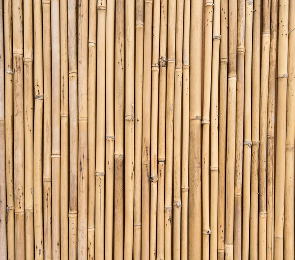 Bambu Staket Bakgrund Struktur — Stockfoto