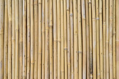 Bambu çit arkaplan dokusu