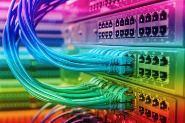 Ağ anahtarı ve ethernet kabloları, Veri Merkezi Konsepti.