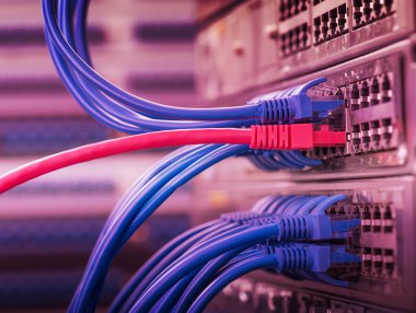 Ağ kabloları ve hub closeup fiber optik arka plan
