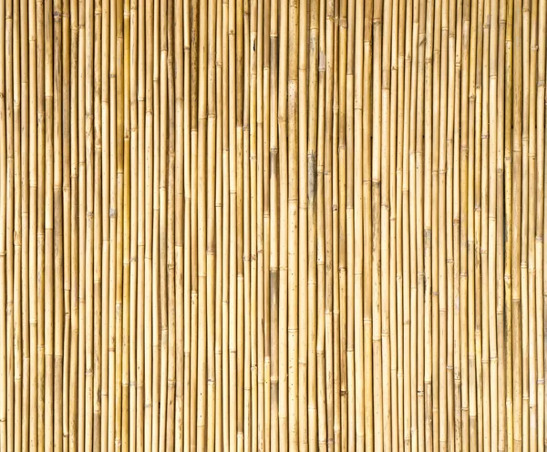 Bamboo Fence Background Texture — Stock Photo, Image