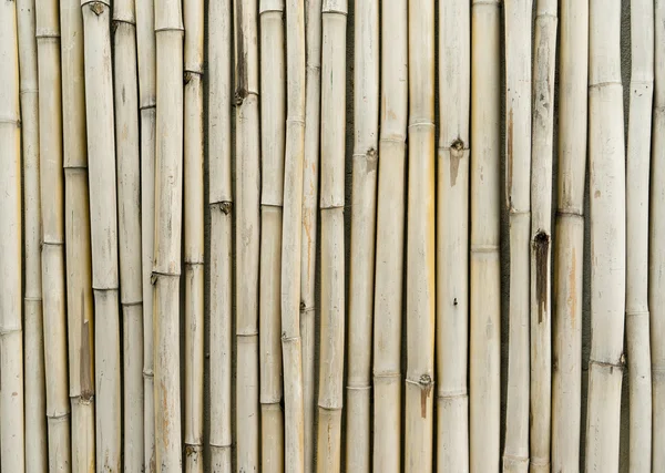 Bamboo Fence Background Texture — Stock Photo, Image