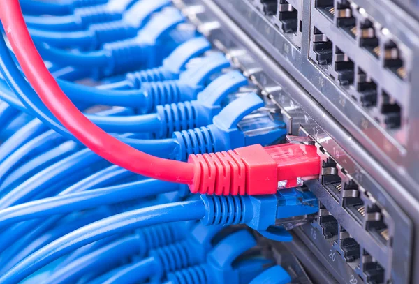 Cables de red y primer plano con fondo de fibra óptica —  Fotos de Stock