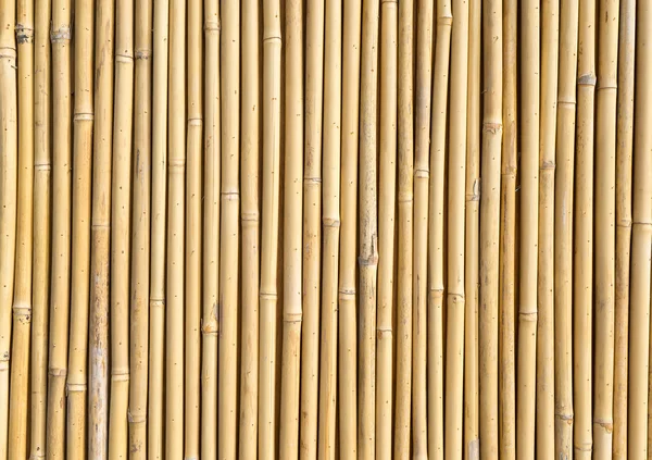 Bambuszaun Hintergrund Textur Stockfoto