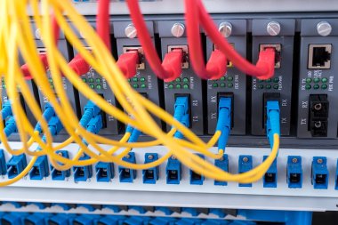 Fiber optik kabloların bağlı bir optik bağlantı noktaları ve ağ kablosu