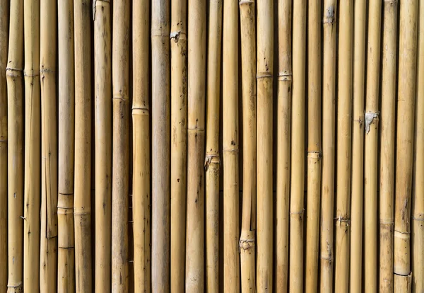 Выстрел из бамбукового забора — стоковое фото