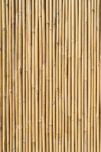Выстрел из бамбукового забора — стоковое фото