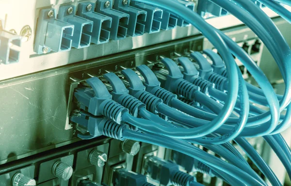 Netzwerk-Switch und Ethernet-Kabel, Rechenzentrumskonzept. — Stockfoto