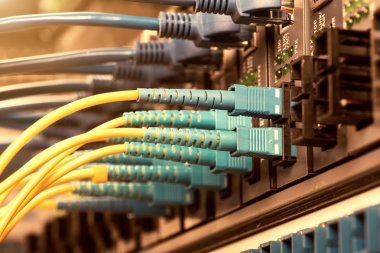 Fiber optik kabloların bağlı bir optik bağlantı noktaları ve ağ kablosu