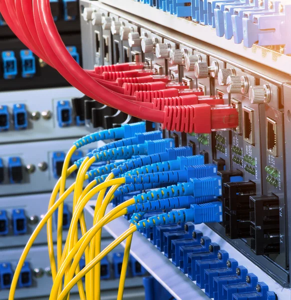 Fiber Optic cables connected to an optic ports and Network cable — Stock Photo, Image