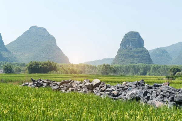 Krajobraz Yangshuo Guilin Chiny — Zdjęcie stockowe