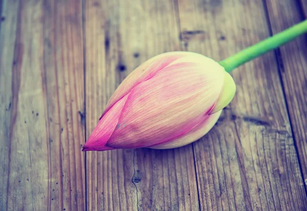 Bouquet lotus buds on wood background — Stock Photo, Image