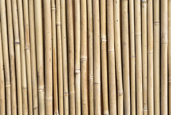 Cerca Feita Paus Bambu — Fotografia de Stock