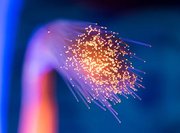 Optiska fibrer dinamiska flyger från djup på teknik bakgrund — Stockfoto