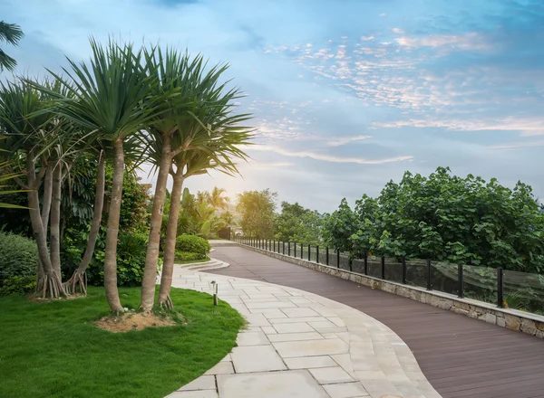 Gehweg Einem Schönen Park Mit Palmen — Stockfoto