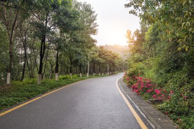 Güzel bir parkta yürüyüş.