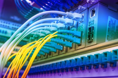 Fiber Optik kablolar ethernet portlarına bağlı optik portlara ve ağ kablolarına bağlı