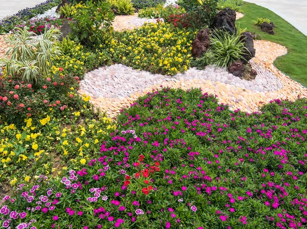 Plants at the local garden center — Stock Photo, Image