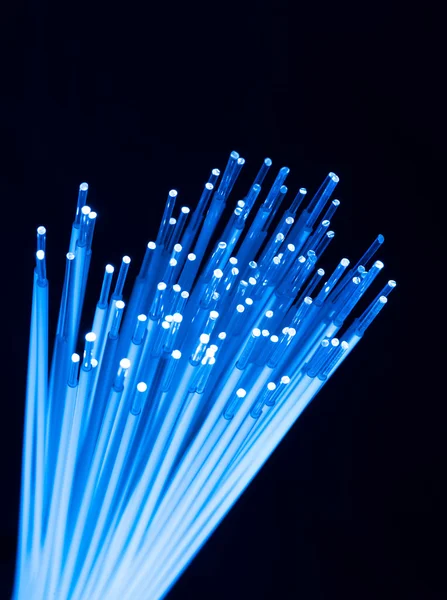 Fibra ottica per la comunicazione globale — Foto Stock