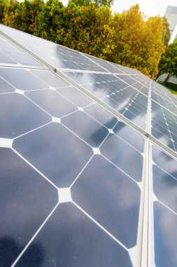 Modern Şehrin Parkındaki Güneş Panelleri