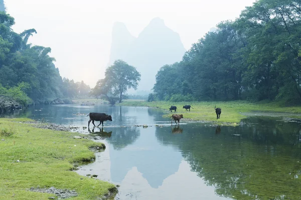 Landschaft Guangxi China — Stockfoto