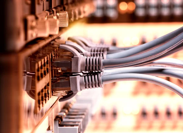 Сетевой коммутатор и кабели Ethernet, Концепция центра обработки данных. — стоковое фото