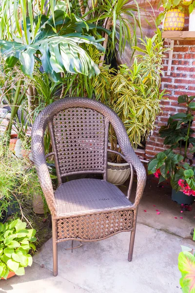 Chaise Confortable Osier Dans Beau Jardin Florissant — Photo