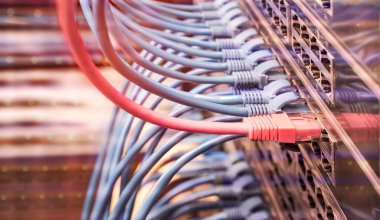 Veri sunucu odasındaki siyah yama paneline bağlı mavi ve kırmızı internet yama kablosu olan sunucu rafı