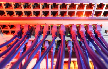 Veri sunucu odasındaki siyah yama paneline bağlı mavi ve kırmızı internet yama kablosu olan sunucu rafı