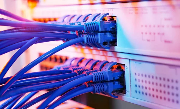 Server Rack Met Blauwe Rode Internet Patch Cord Kabels Verbonden — Stockfoto