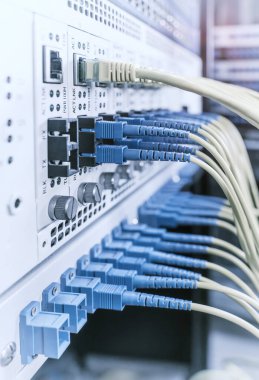 Fiber Optik kablolar ethernet portlarına bağlı optik portlara ve ağ kablolarına bağlı