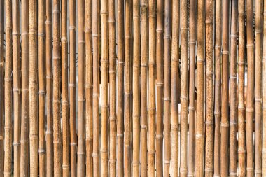 Bambudan yapılmış çitler.