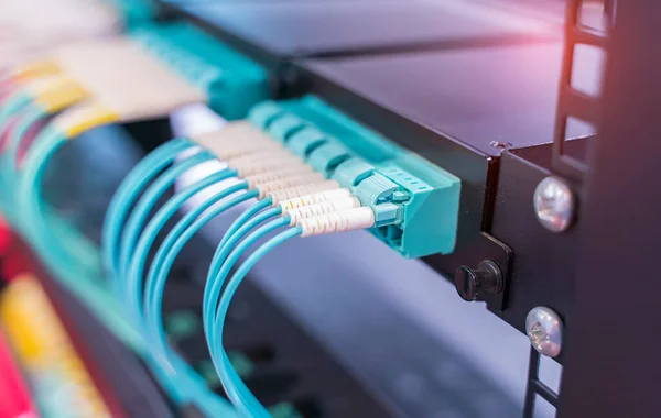Cable Fibra Óptica Conectar Comunicación Punto Distribución — Foto de Stock