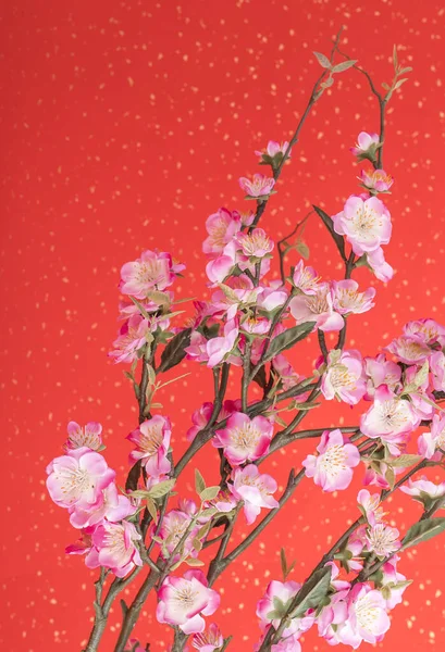 Roze Pruim Bloesem Iaolated Rode Achtergrond — Stockfoto