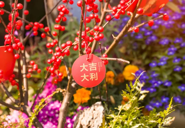 中国の新年の挨拶のための花にぶら下がっラッキー結び目 中国の文字は新年のための良い祝福を意味します — ストック写真