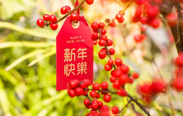 中国の新年の挨拶のための花に吊るされたラッキーノット 中国の文字は幸せな新年を意味します — ストック写真