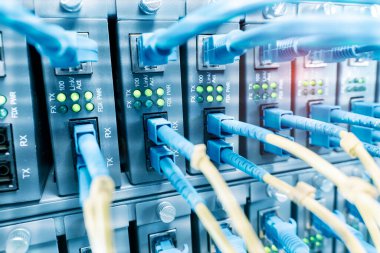 Fiber Optik kablolar optik portlara ve UTP 'ye bağlandı, ethernet portlarına bağlı ağ kabloları