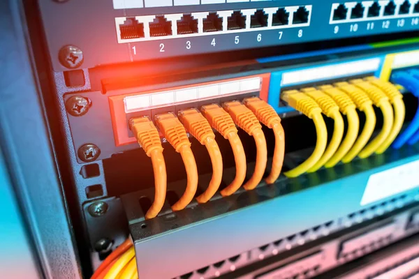 Network Cable Connecting Network Core Switch Close — Stock Photo, Image