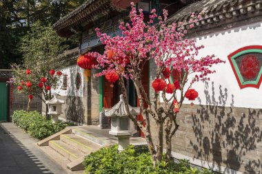 Yapay şeftali çiçekleri Çin 'in yeni yılı için Vintage Tarihi Çin Evi Yapısı' nda bir dal ve süslemeler, kaligrafi çevirisi: Yeni yıl için iyi şanslar