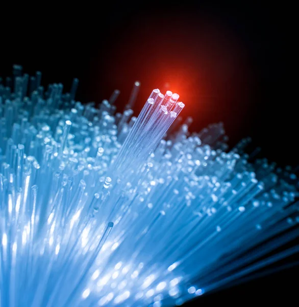 Fiber Optik Nätverkskabel För Ultrasnabb Internetkommunikation — Stockfoto