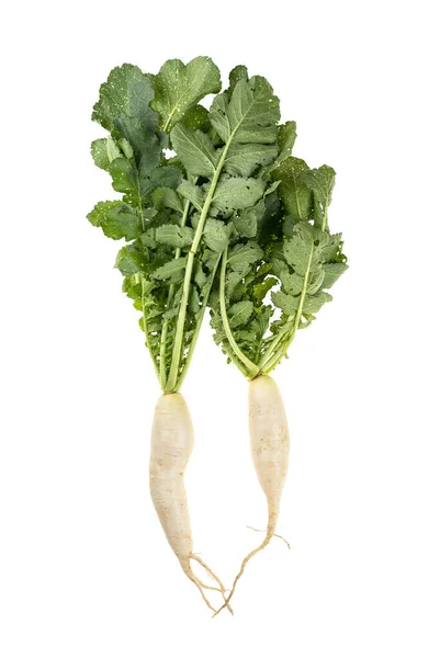 Fresh White Radish Isolated White Background — Stock Photo, Image