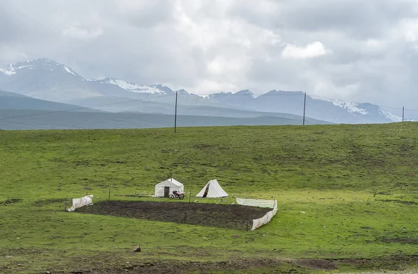 Çin Batısındaki Çayırlarda Göçebe Kampı — Stok fotoğraf